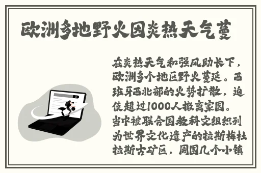 最近的中文字幕2019国语